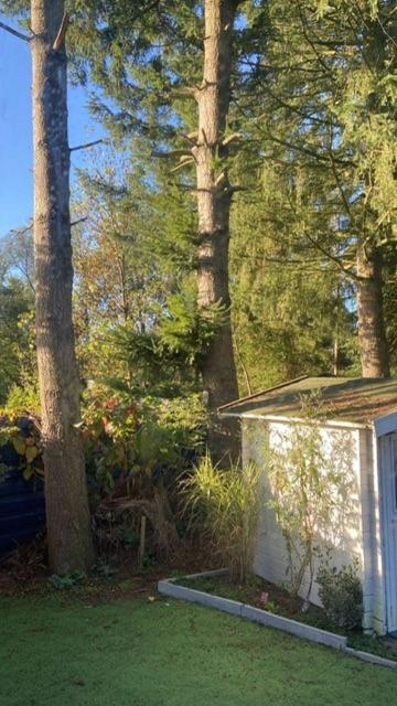 Boutique Chalet Veluwe Пюттен Экстерьер фото