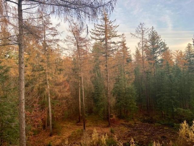Boutique Chalet Veluwe Пюттен Экстерьер фото